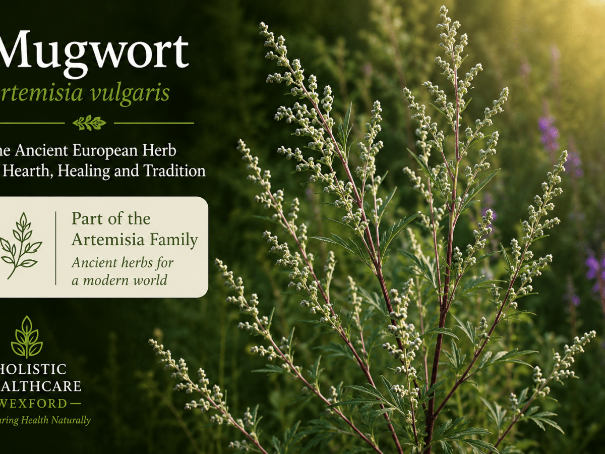 Mugwort (Artemisia vulgaris)